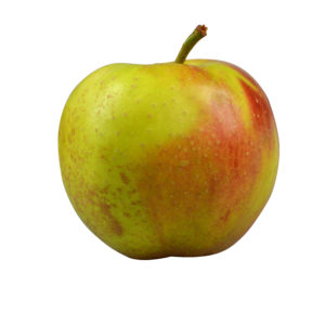 Wellant Apfel, 2 kg, allergikerfreundlich